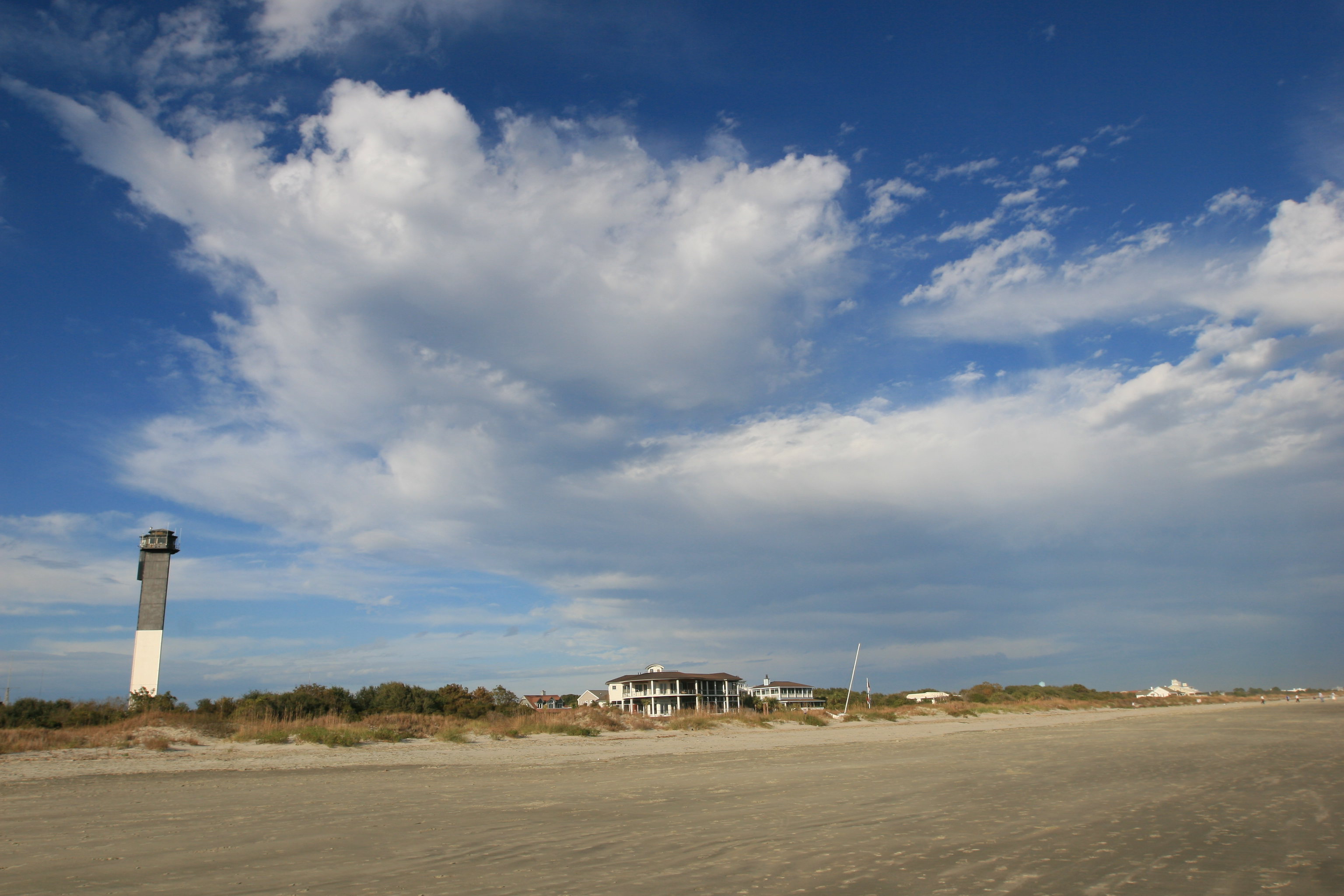 DogFriendly Beaches In & Around Charleston, South Carolina